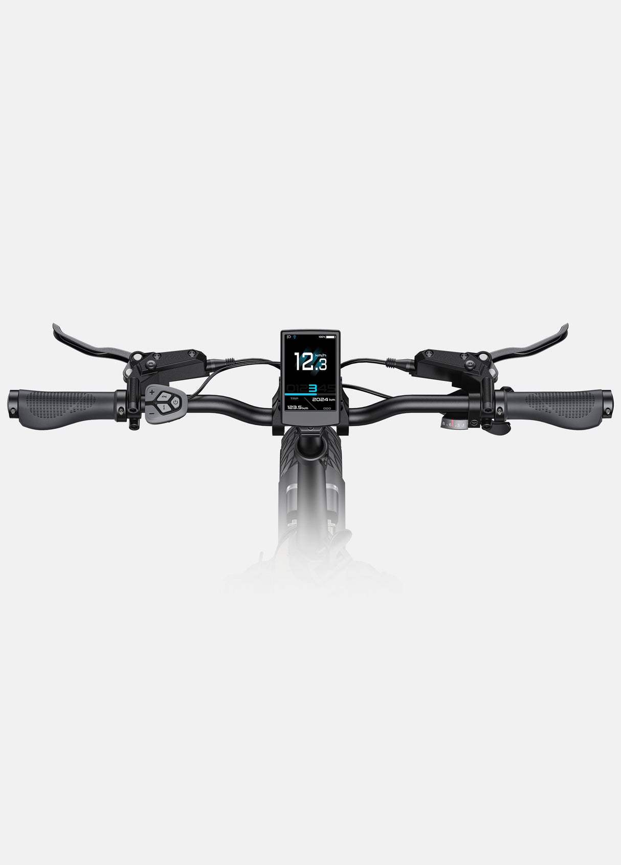 E-Bike LCD-Display