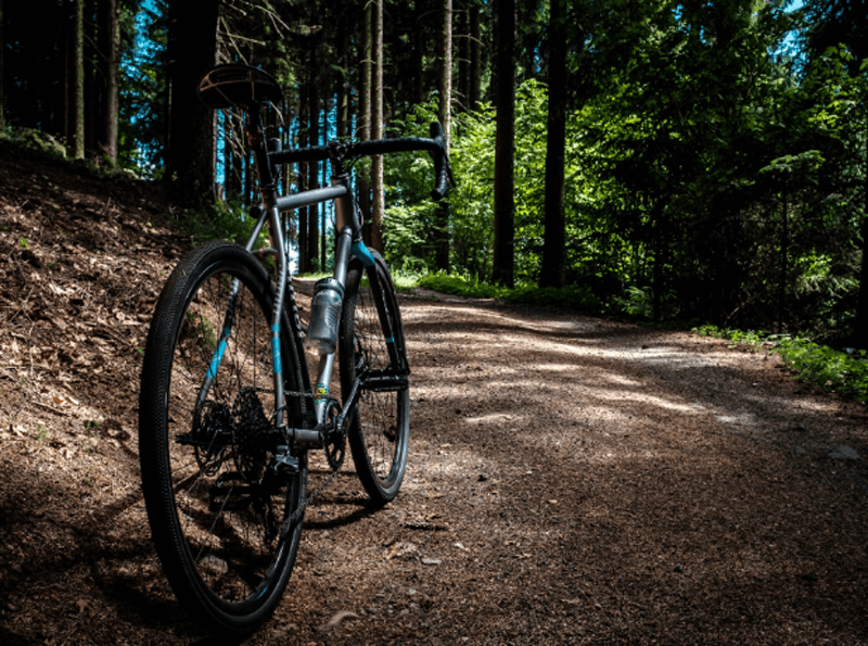 e bike mit riemenantrieb und automatik