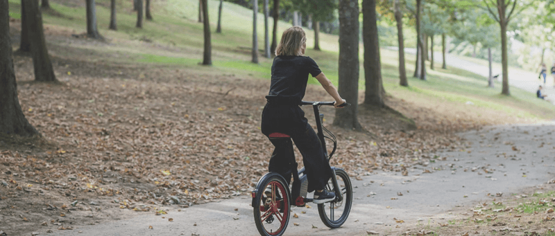 eine Dame auf einem 250 Watt e-bike 