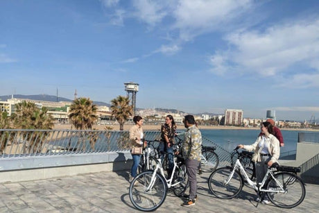 Elektrofahrrad mit Korb hinten: Der ultimative Ratgeber 2025