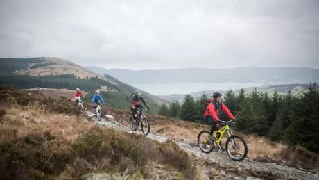 Wie Sie Ihre Reise auf dem ostseeküsten radweg am besten planen