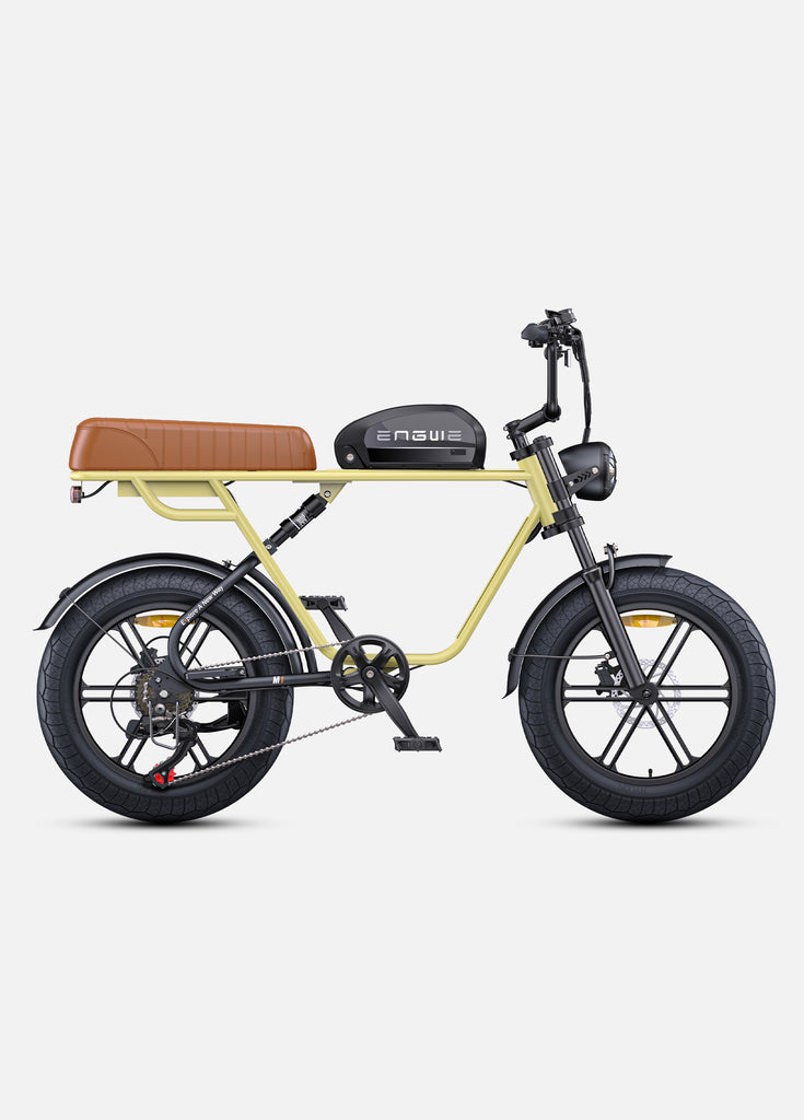 EU-Standard  E-Bike ENGWE M1