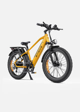 ein high-step bienenstockgelb elektrofahrrad