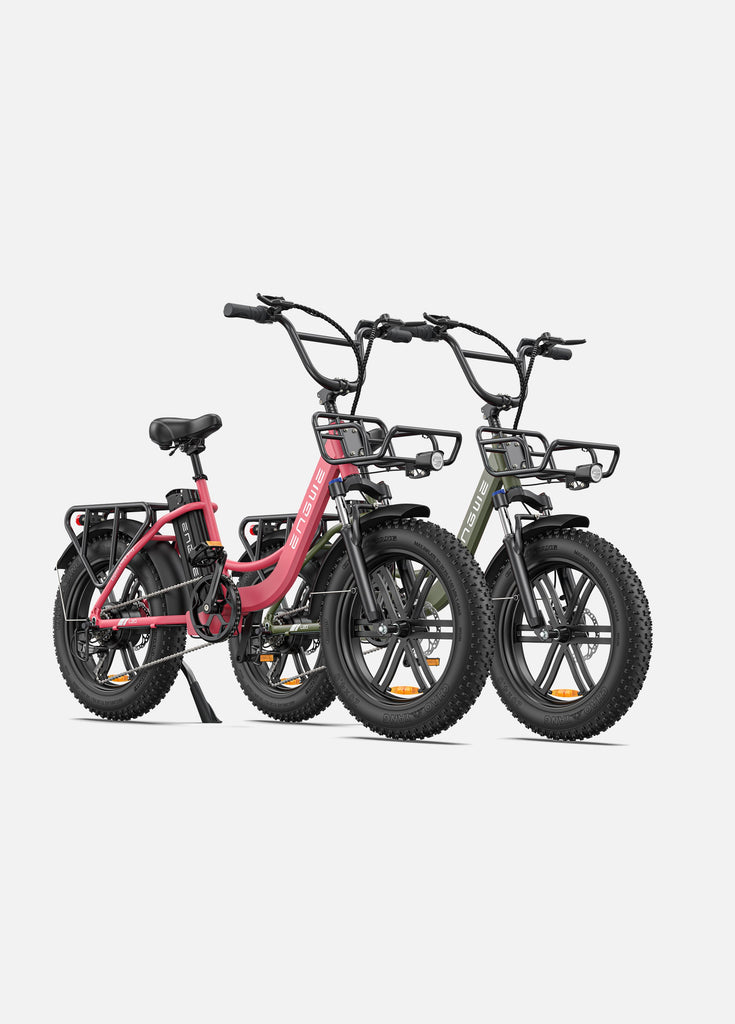 1 flamigorosa rosa Engwe L20 und 1 avocado grun Engwe L20 E-Bikes